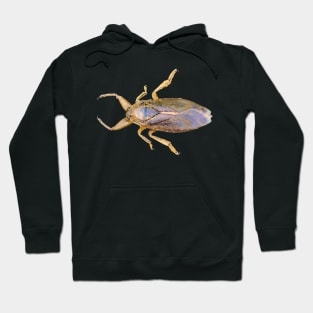 Giant Water Bug Hoodie